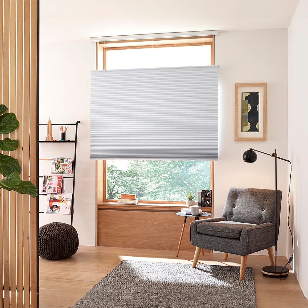 Premium Blackout Cellular Shades